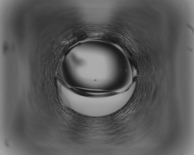 X0000092101441200709121536