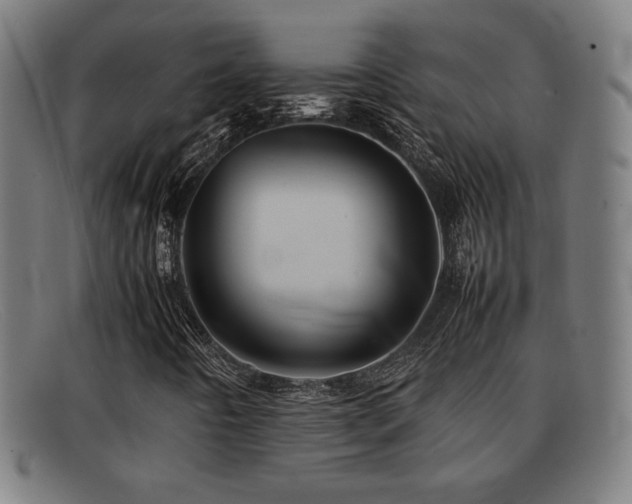X0000092101442200709121536