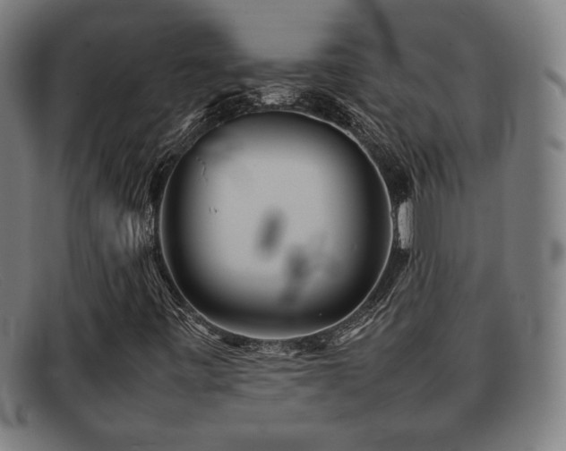 X0000092101443200709121536