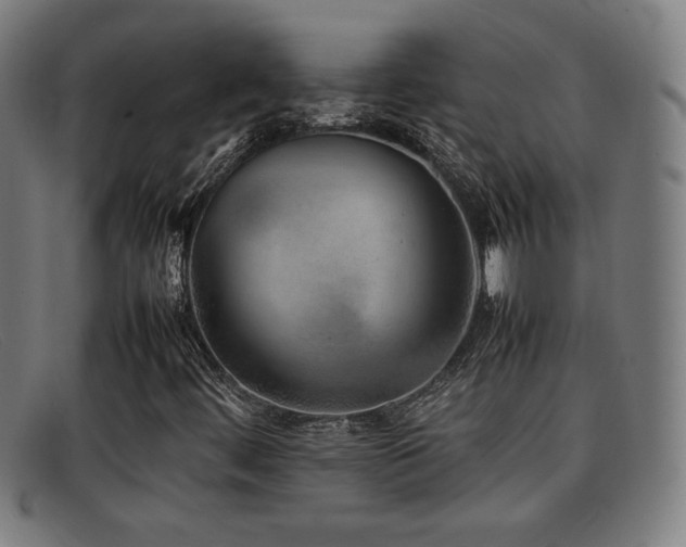 X0000092101444200709121536