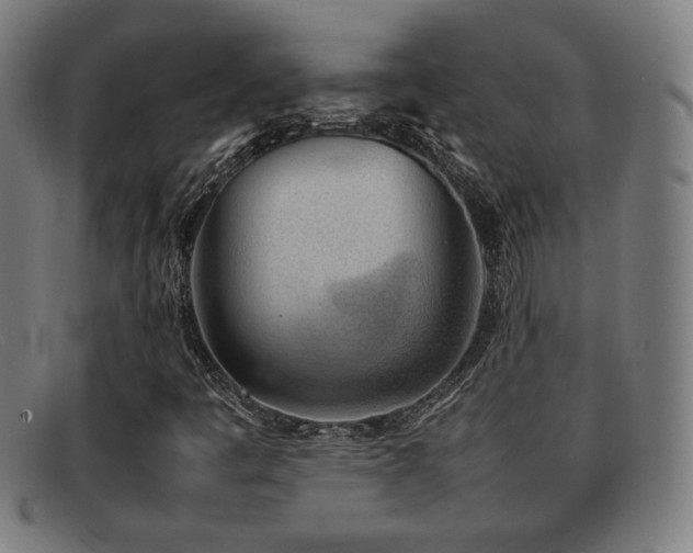 X0000092101445200709121536