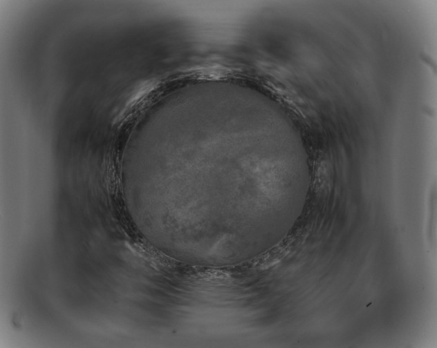 X0000092101446200709121536