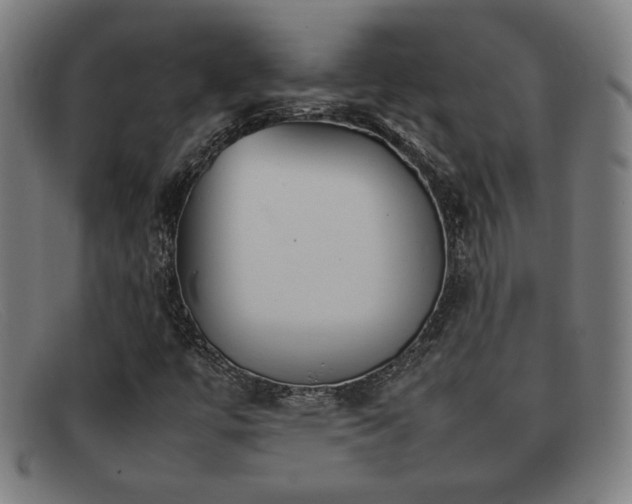 X0000092101447200709121536