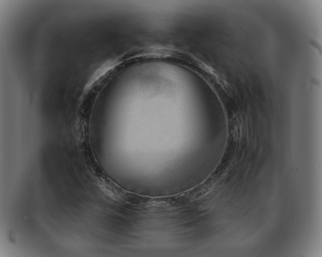 X0000092101448200709121536
