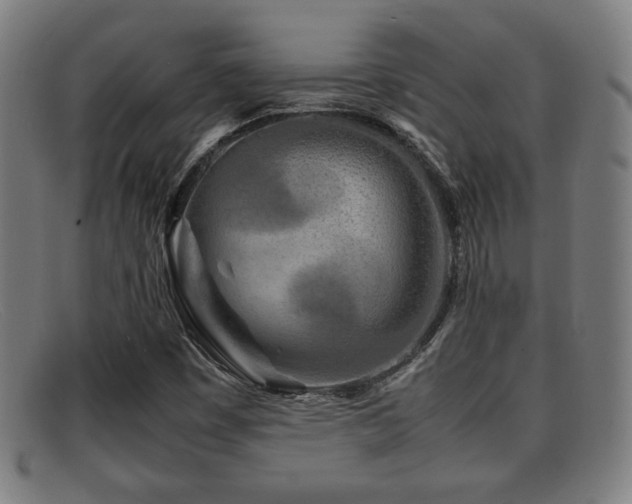 X0000092101449200709121536