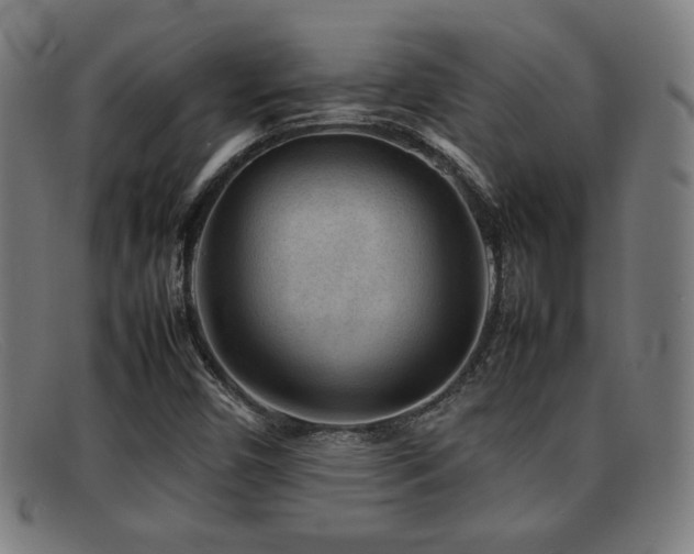 X0000092101450200709121536
