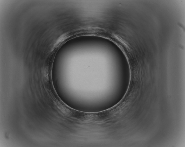 X0000092101451200709121536