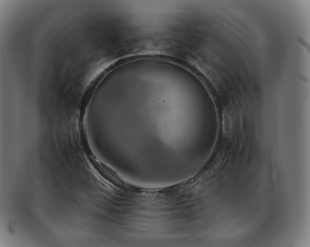 X0000092101452200709121536