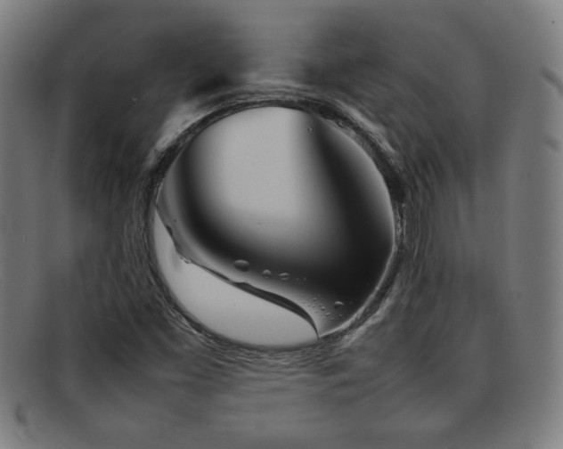 X0000092101453200709121535