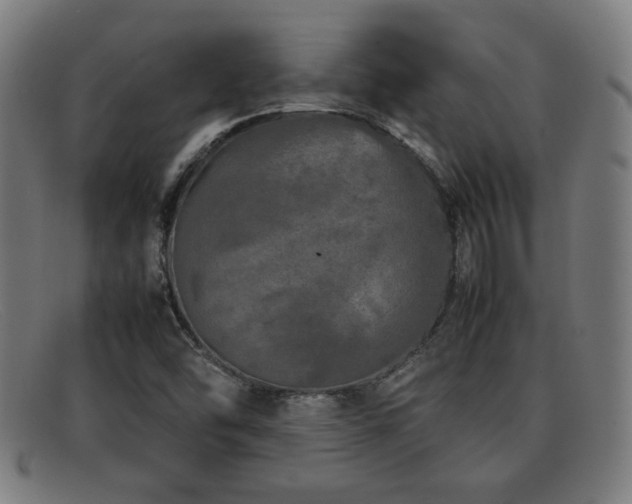 X0000092101454200709121535