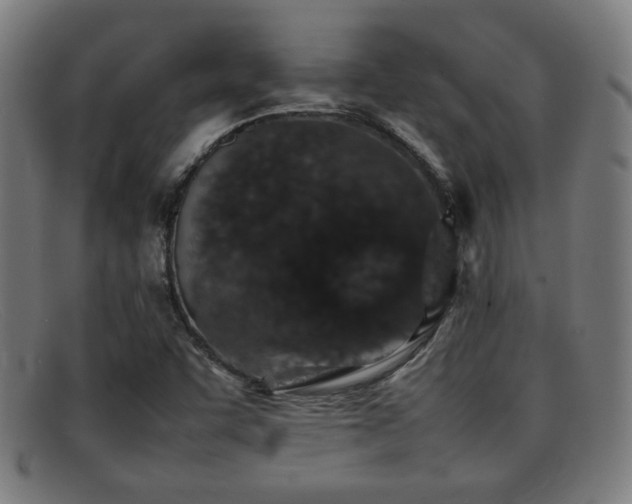 X0000092101455200709121535