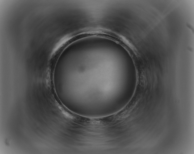 X0000092101456200709121535