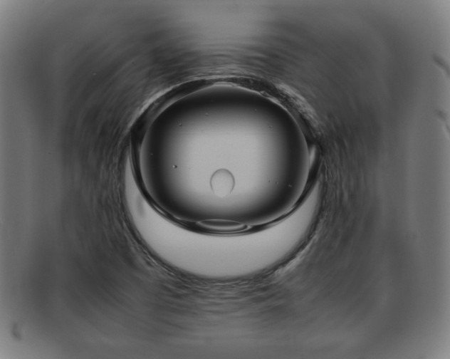 X0000092101457200709121535