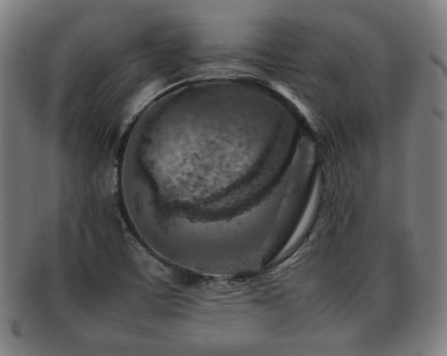 X0000092101459200709121535