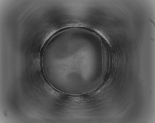 X0000092101460200709121535