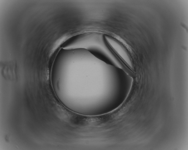 X0000092101461200709121535
