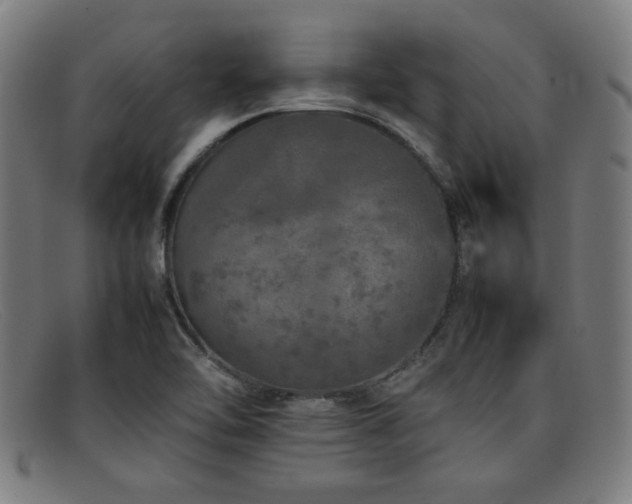 X0000092101462200709121535