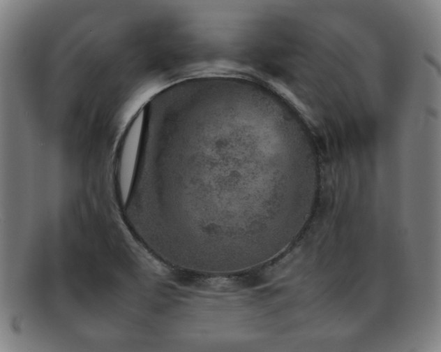 X0000092101463200709121535