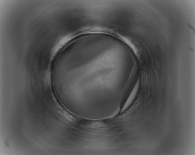 X0000092101464200709121535