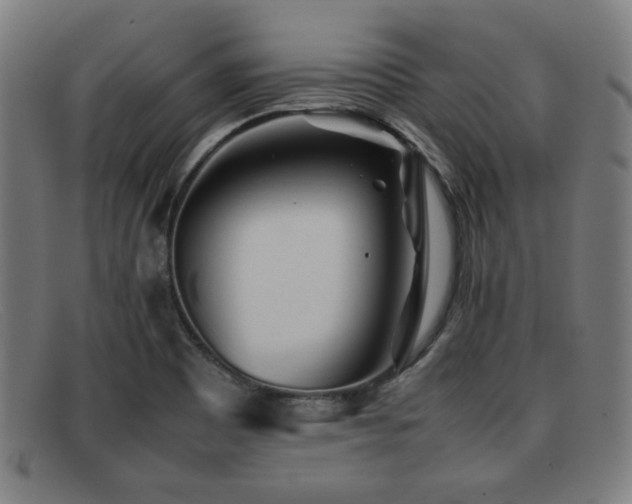 X0000092101465200709121535
