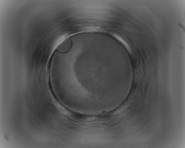 X0000092101467200709121535