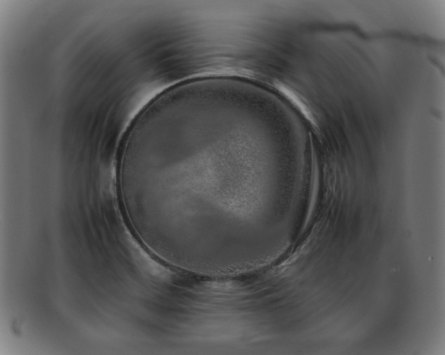 X0000092101468200709121535