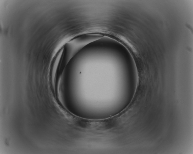 X0000092101469200709121535