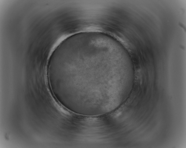 X0000092101470200709121535