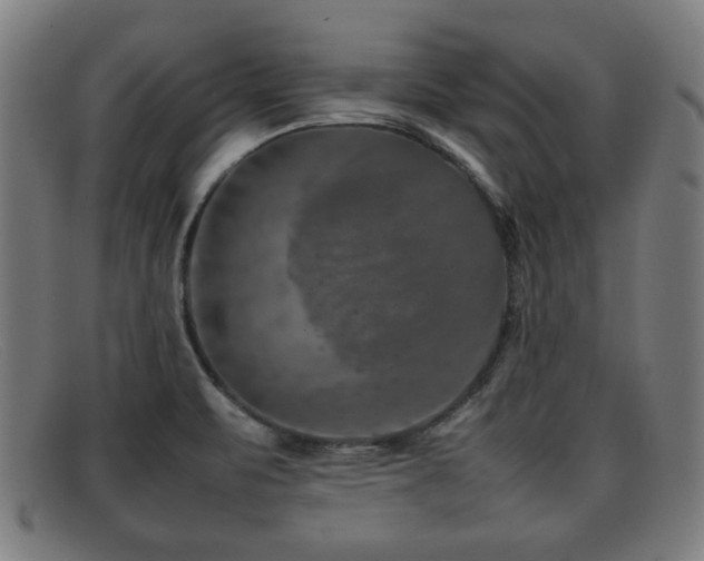 X0000092101471200709121535