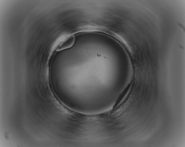 X0000092101472200709121535