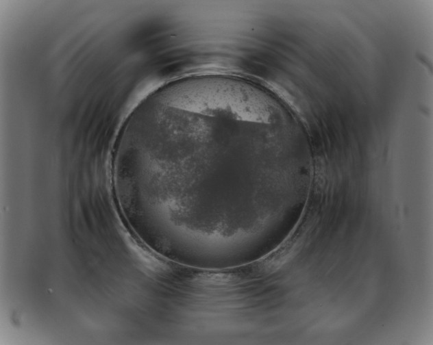 X0000092101474200709121535