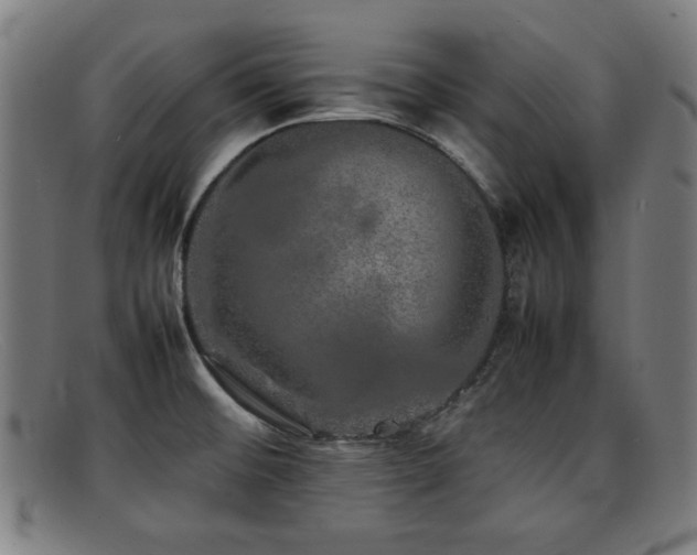 X0000092101476200709121535