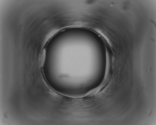 X0000092101477200709121535