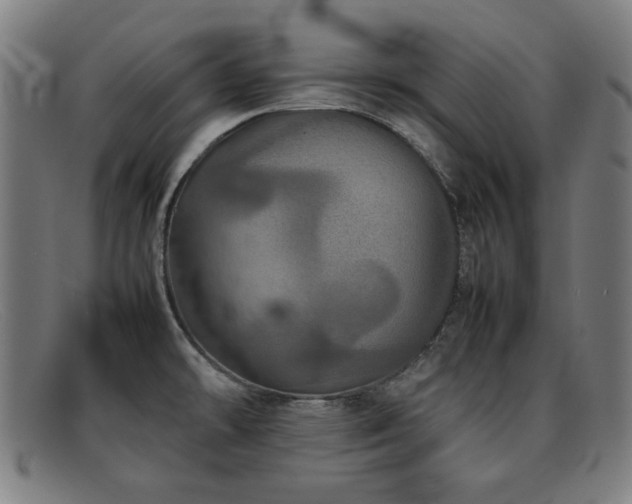X0000092101478200709121535