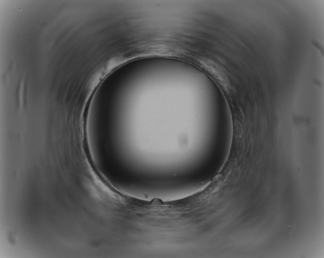 X0000092101479200709121535