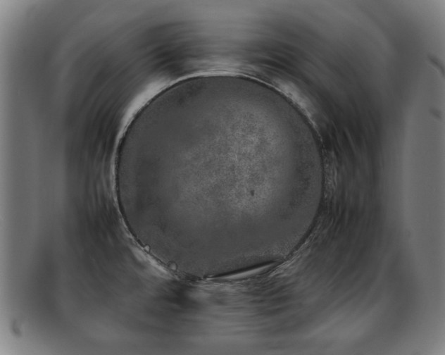 X0000092101480200709121535