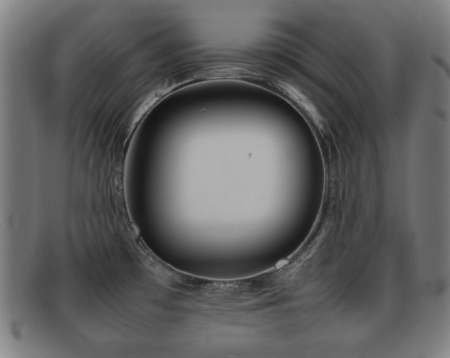 X0000092101481200709121535