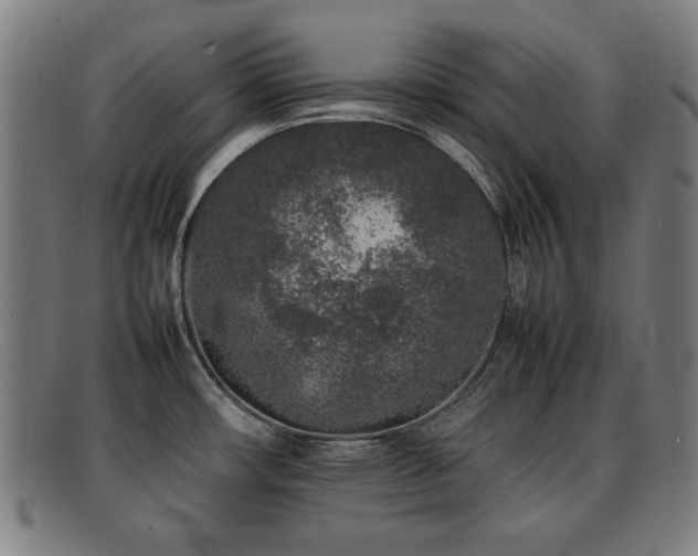 X0000092101482200709121535