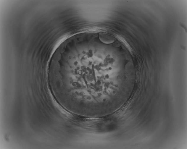 X0000092101483200709121535