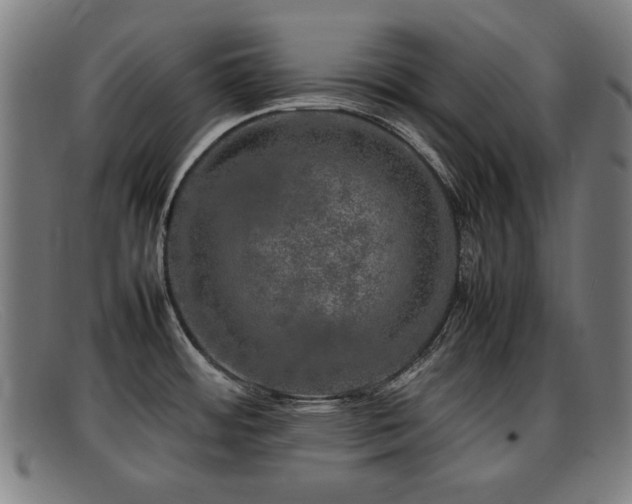 X0000092101484200709121535