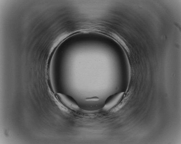 X0000092101485200709121535