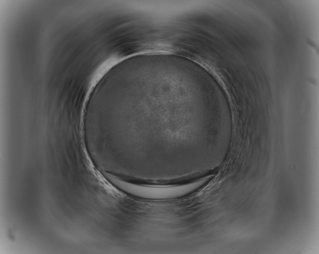 X0000092101488200709121535