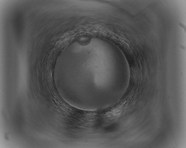 X0000092101489200709121535