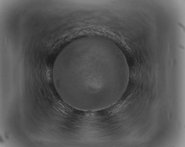 X0000092101490200709121535