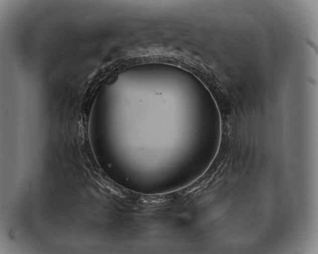 X0000092101493200709121535