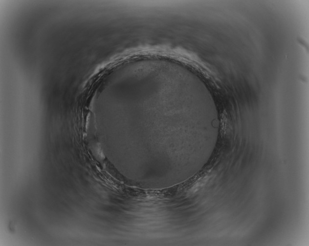 X0000092101494200709121535