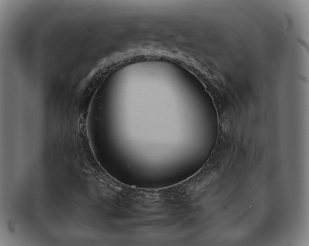 X0000092101495200709121535
