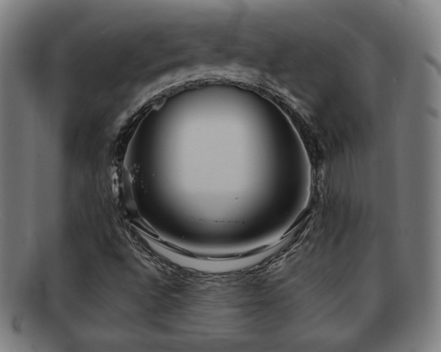 X0000092101496200709121535