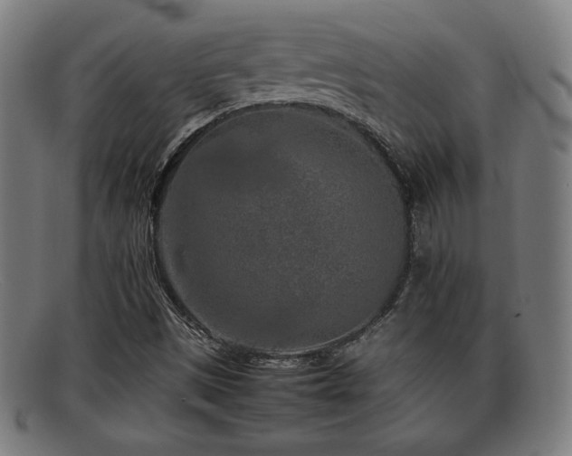 X0000092101497200709121535