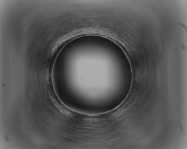 X0000092101499200709121535